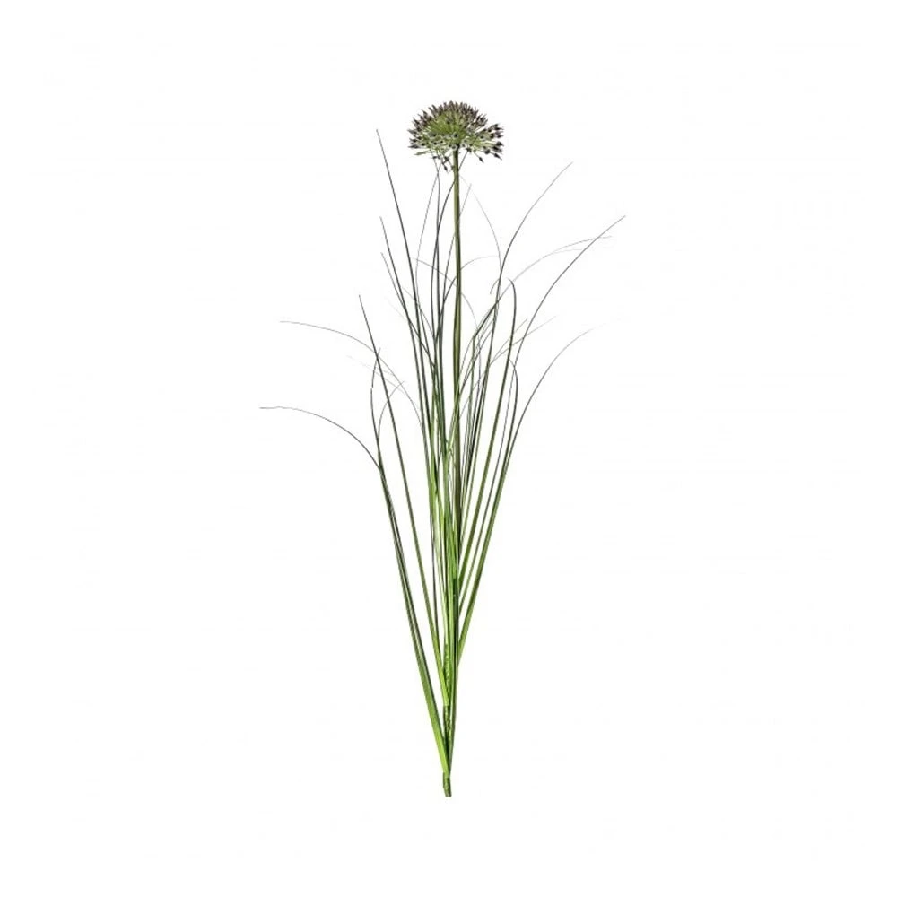 5 Stems Of Allium Grass Spray - Damson