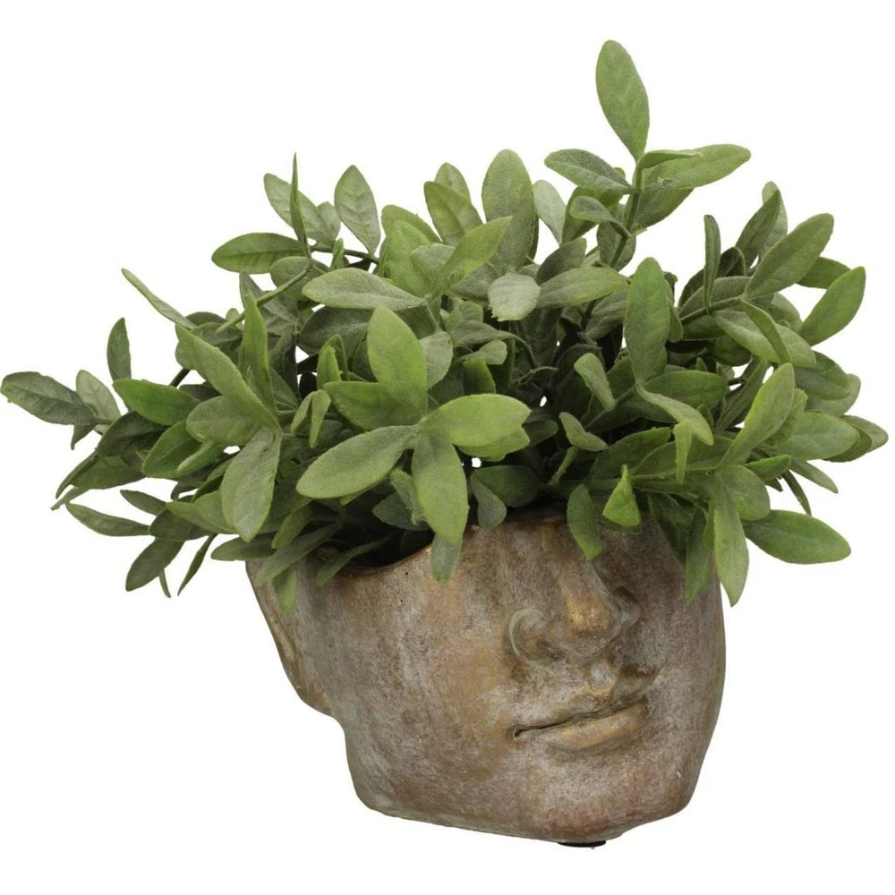 Apollo Face Small 17cm Planter - Image 3