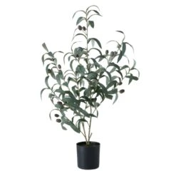 Decorative Olive Tree In Pot