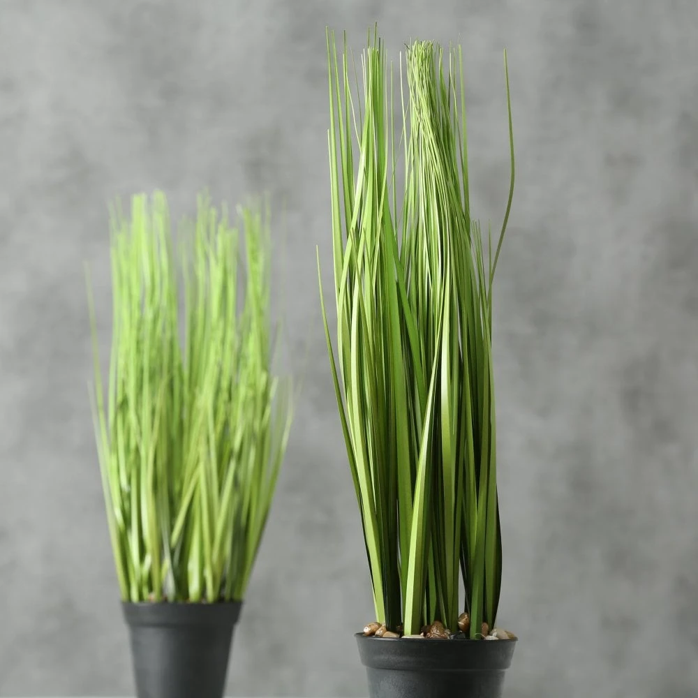 Faux Grass Plant In Pot - Set Of 2 - Image 7