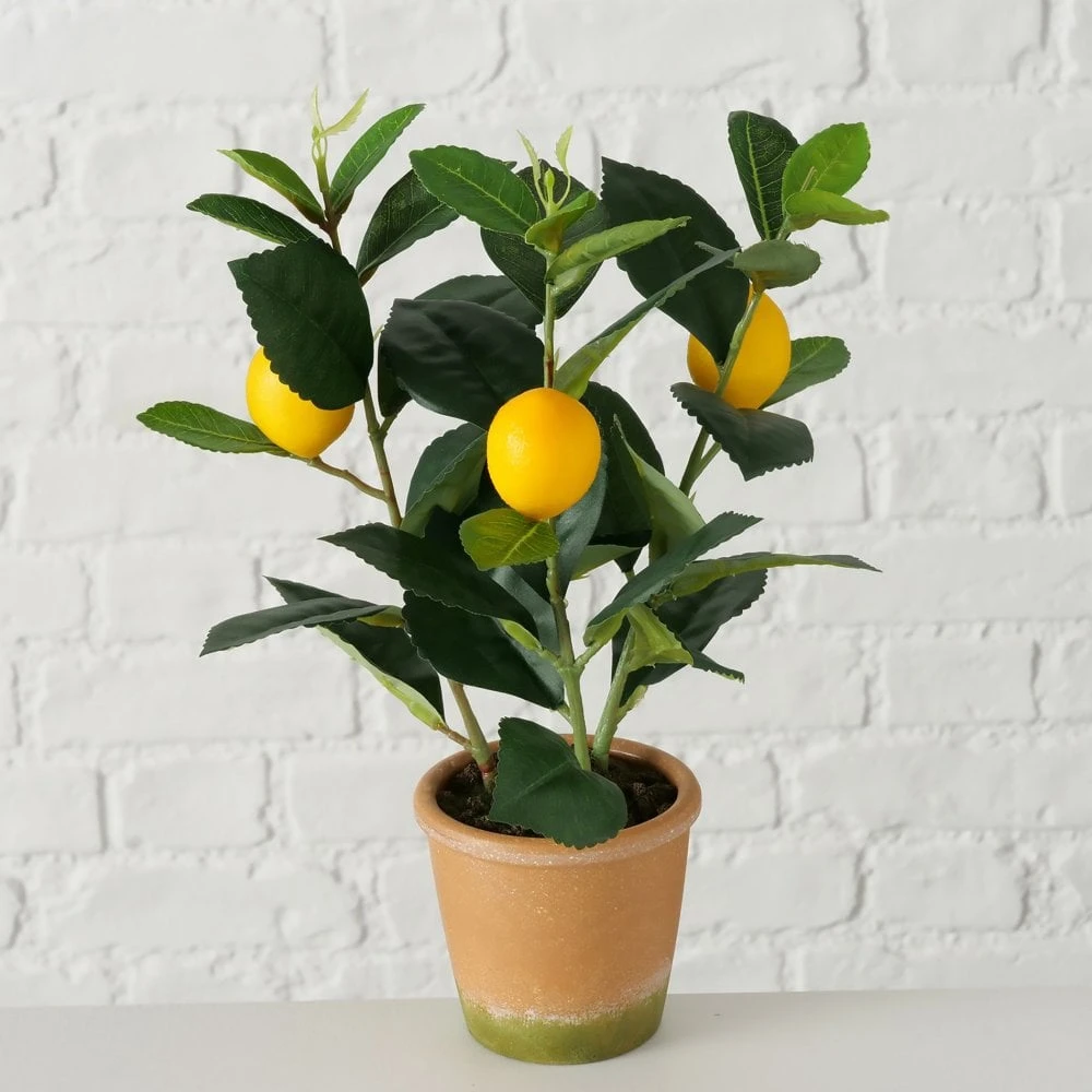 Faux Lemon Plant In Terracotta Pot - Image 2