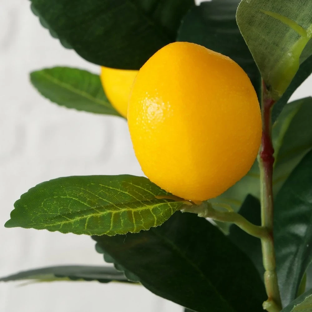 Faux Lemon Plant In Terracotta Pot - Image 3