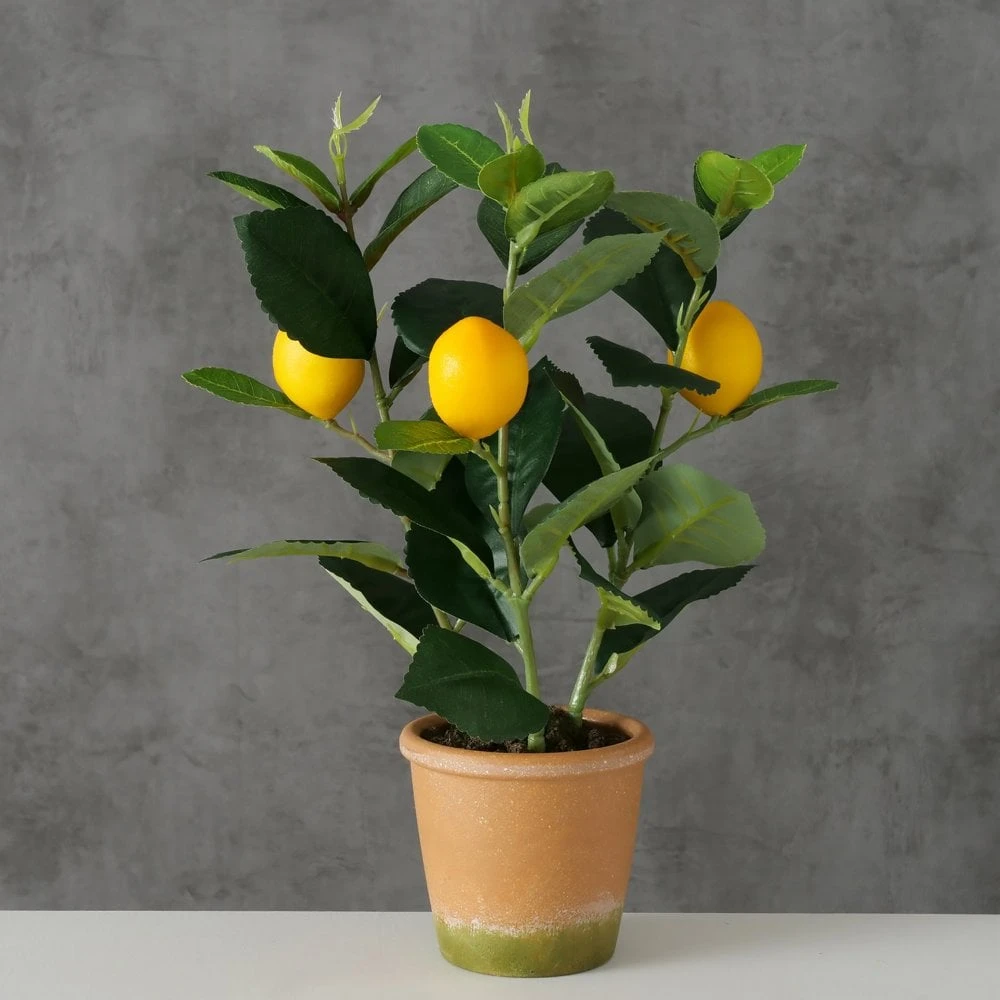 Faux Lemon Plant In Terracotta Pot - Image 5