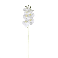 Faux Phalaenopsis Orchid Stems - 3 Pack