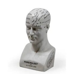 Large Antiqued Ceramic Phrenology Head