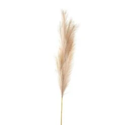 HI Large Faux Pampas Grass Stem - Beige