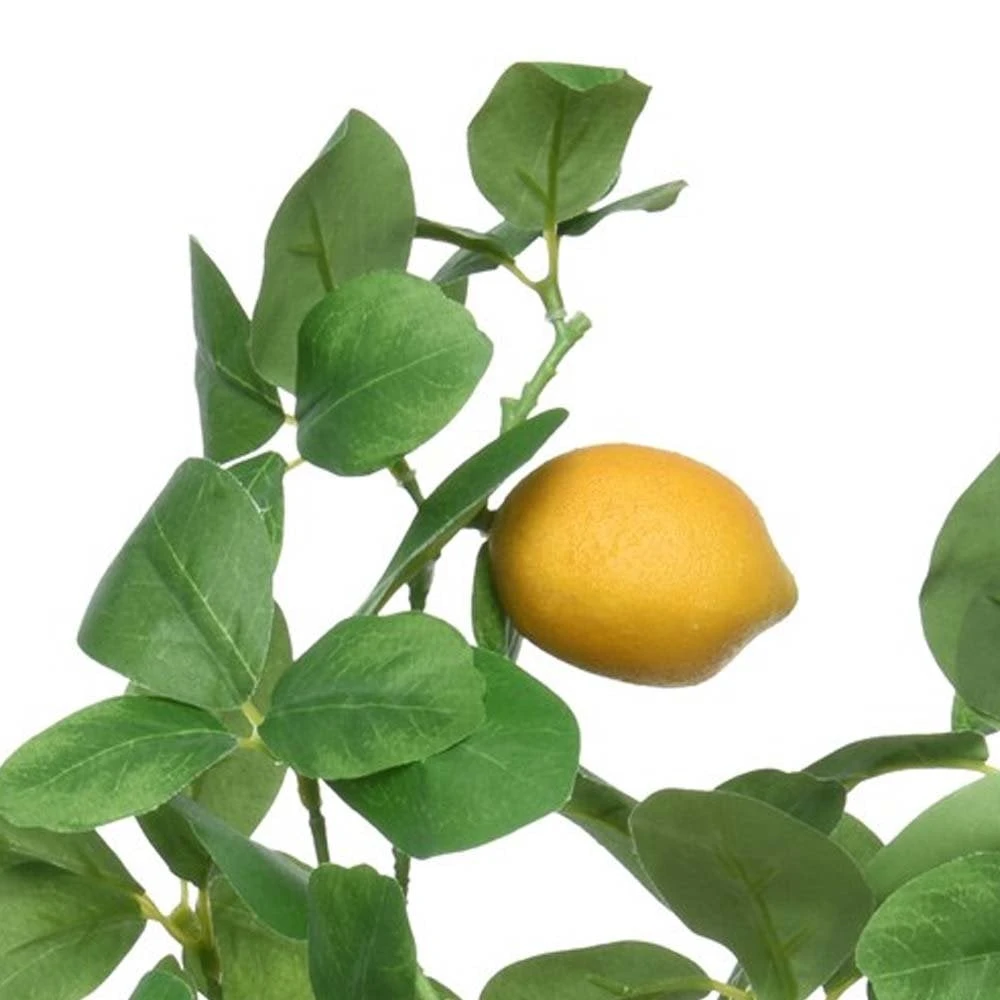 Lemon Tree In Plactic Pot - Image 2