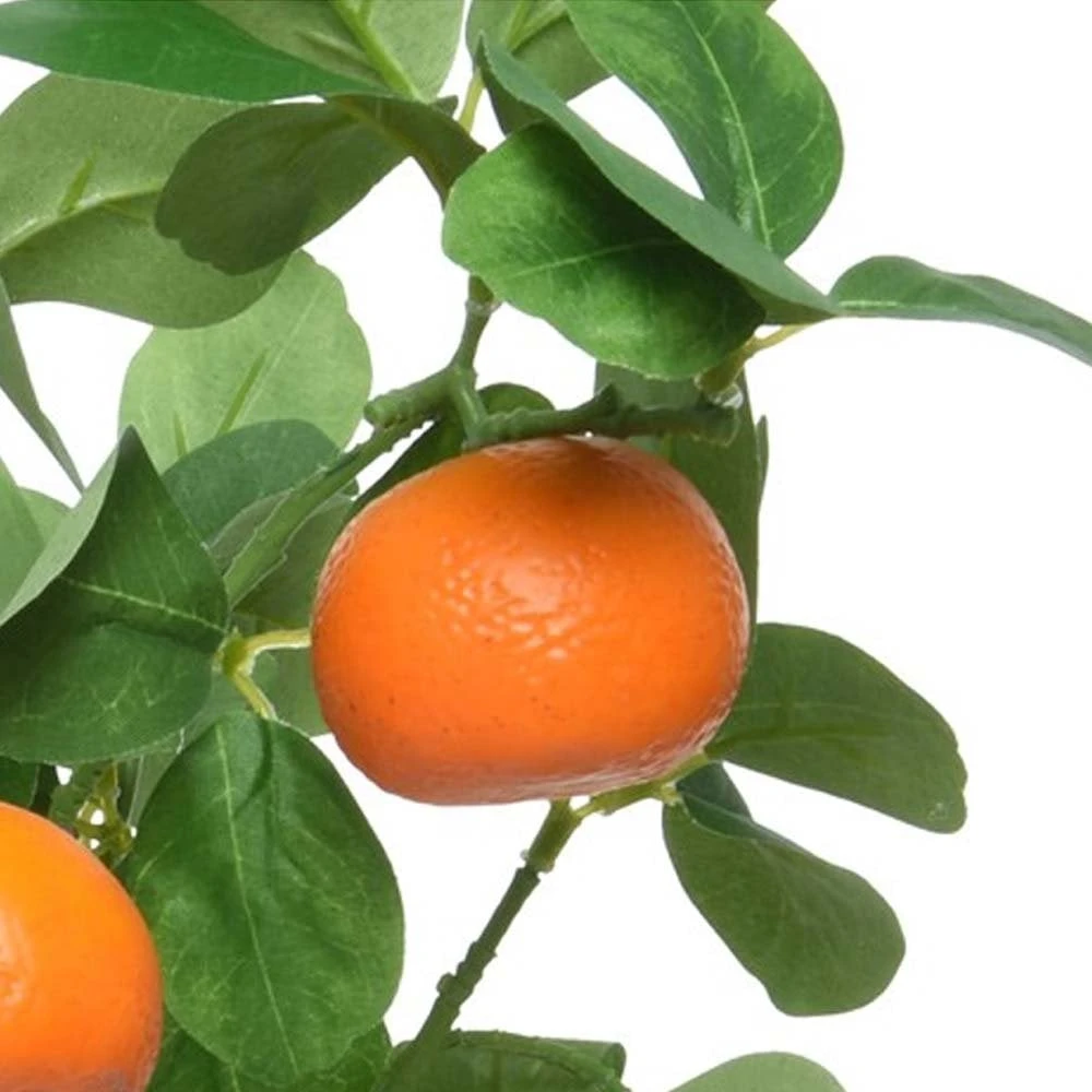 Orange Tree In Plastic Pot - Image 2