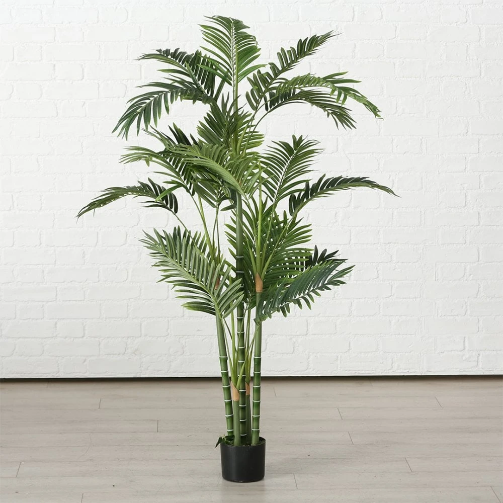 Palm Plant 165cm