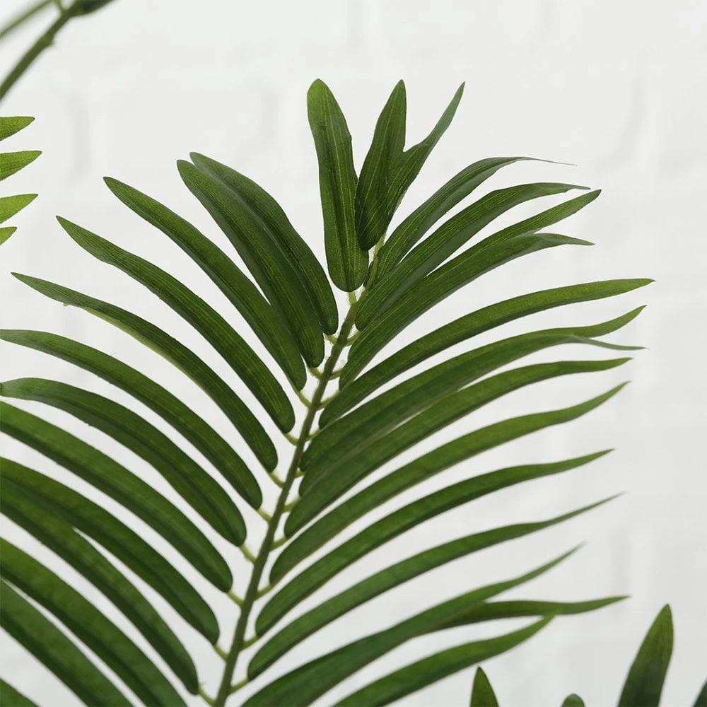 Palm Plant 165cm - Image 2