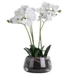 White Orchid Glass Pot