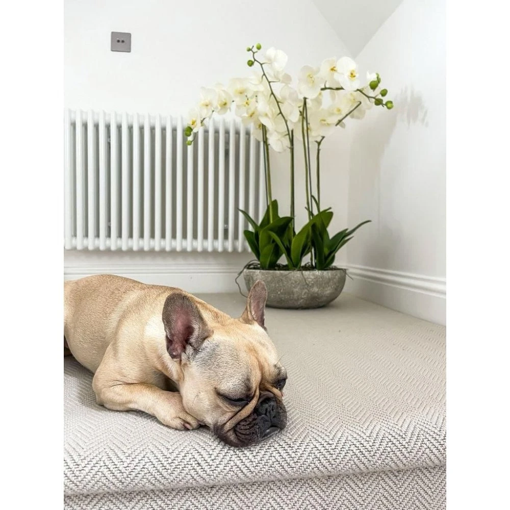 White Orchid In Stone Bowl - Image 2