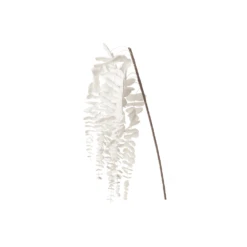 Willow Stem White - 120cm